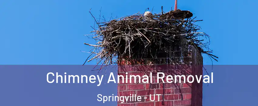 Chimney Animal Removal Springville - UT
