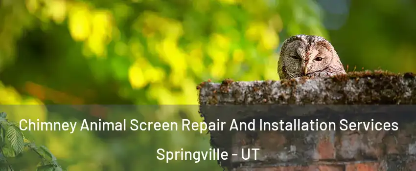  Chimney Animal Screen Repair And Installation Services Springville - UT