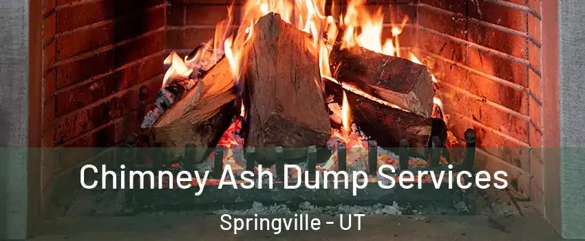  Chimney Ash Dump Services Springville - UT