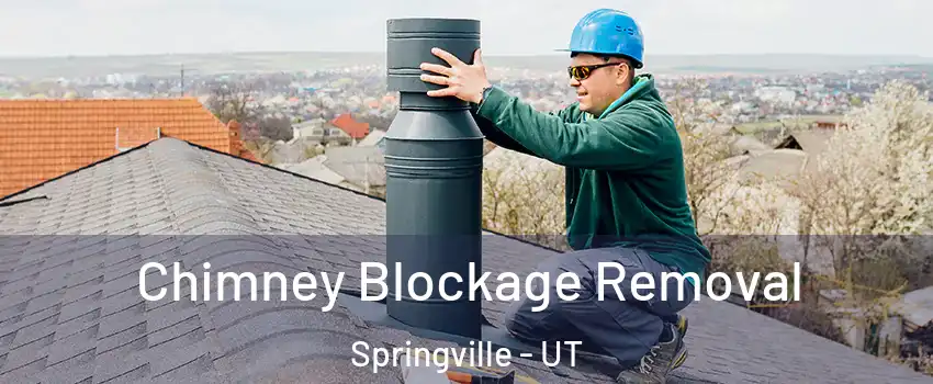  Chimney Blockage Removal Springville - UT