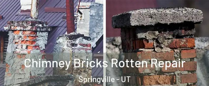  Chimney Bricks Rotten Repair Springville - UT