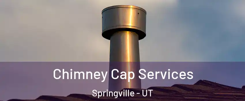  Chimney Cap Services Springville - UT