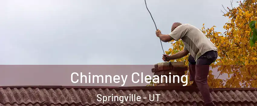  Chimney Cleaning Springville - UT