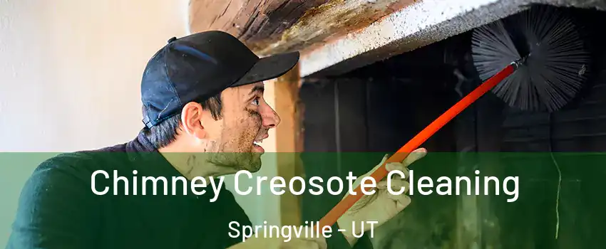  Chimney Creosote Cleaning Springville - UT