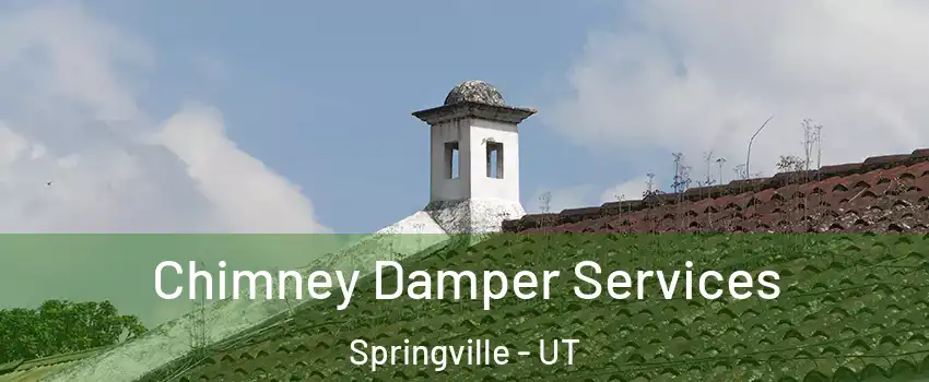  Chimney Damper Services Springville - UT