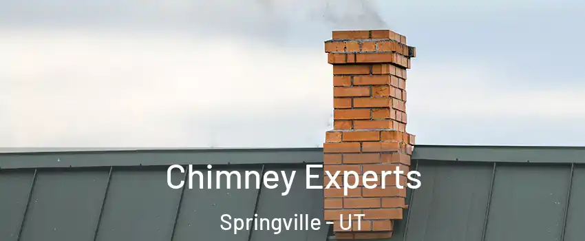 Chimney Experts Springville - UT