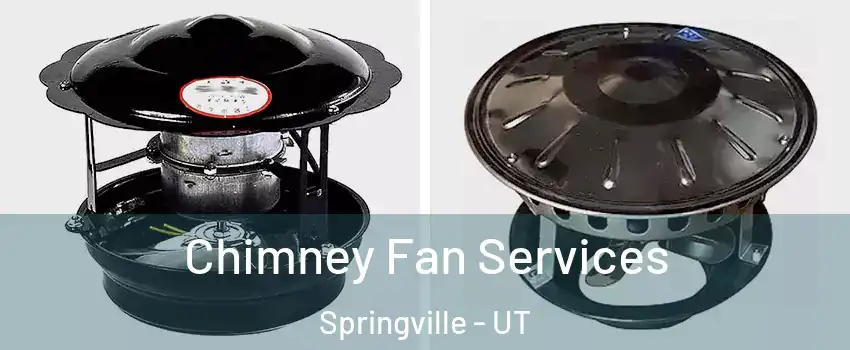  Chimney Fan Services Springville - UT