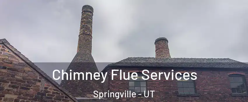  Chimney Flue Services Springville - UT