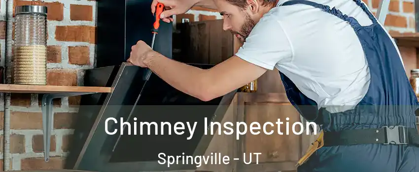  Chimney Inspection Springville - UT