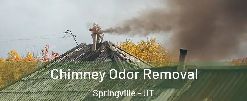  Chimney Odor Removal Springville - UT