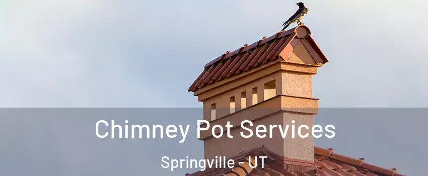  Chimney Pot Services Springville - UT