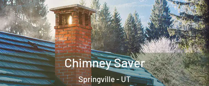  Chimney Saver Springville - UT