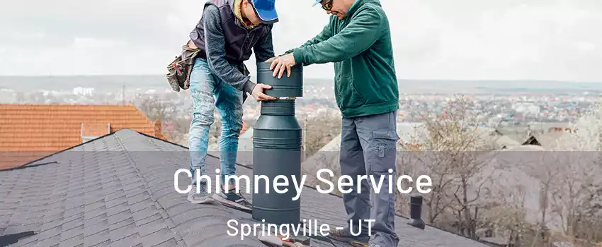  Chimney Service Springville - UT