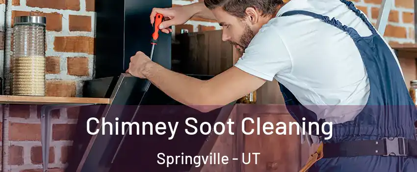  Chimney Soot Cleaning Springville - UT