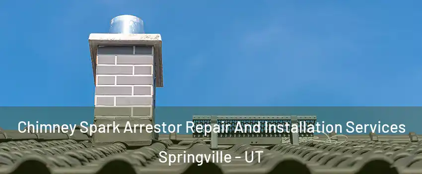  Chimney Spark Arrestor Repair And Installation Services Springville - UT