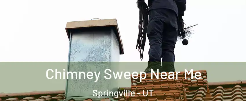  Chimney Sweep Near Me Springville - UT