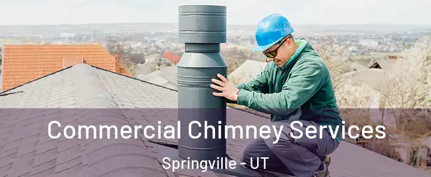  Commercial Chimney Services Springville - UT