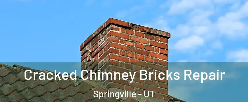  Cracked Chimney Bricks Repair Springville - UT