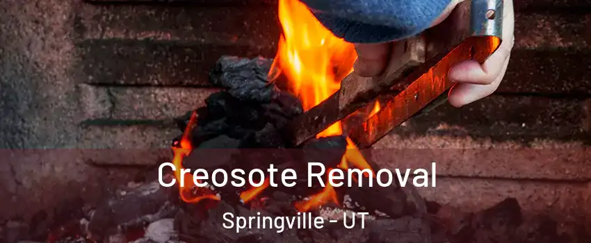  Creosote Removal Springville - UT