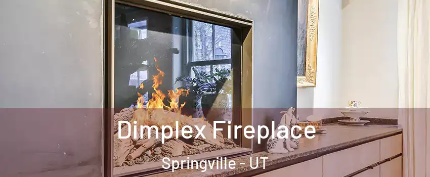  Dimplex Fireplace Springville - UT