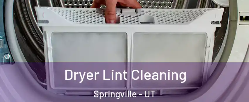  Dryer Lint Cleaning Springville - UT