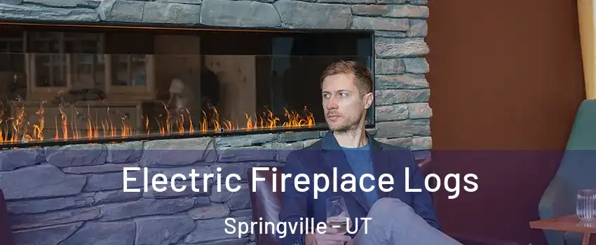  Electric Fireplace Logs Springville - UT