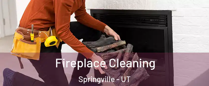  Fireplace Cleaning Springville - UT