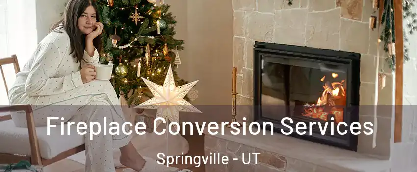  Fireplace Conversion Services Springville - UT