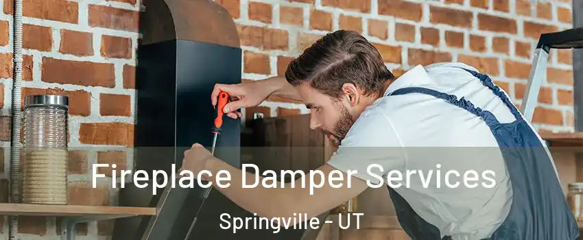  Fireplace Damper Services Springville - UT