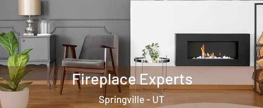  Fireplace Experts Springville - UT