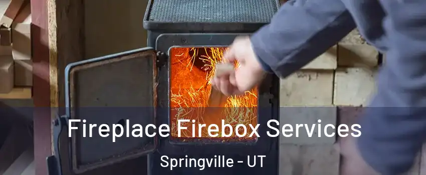  Fireplace Firebox Services Springville - UT