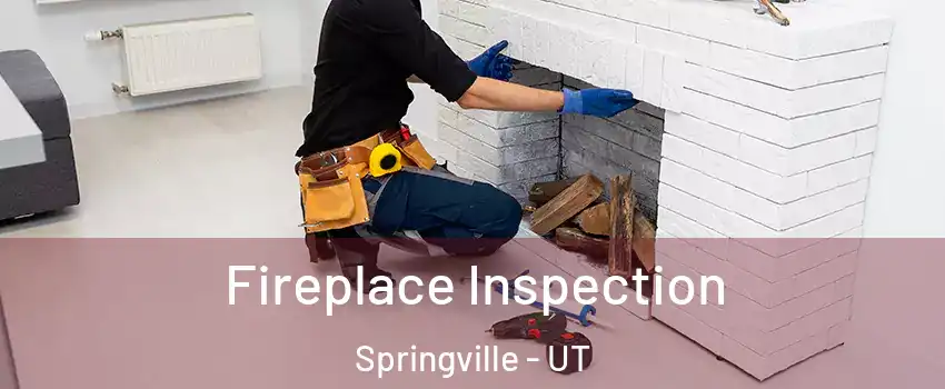  Fireplace Inspection Springville - UT