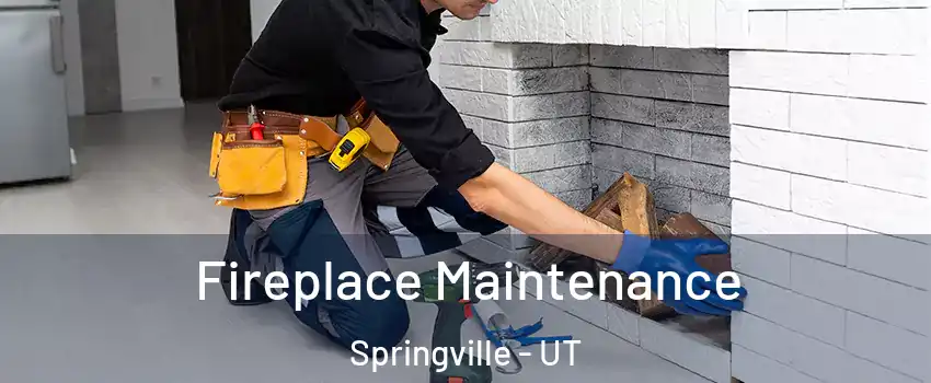  Fireplace Maintenance Springville - UT