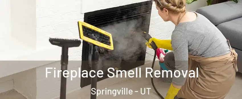  Fireplace Smell Removal Springville - UT