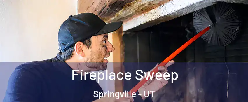  Fireplace Sweep Springville - UT