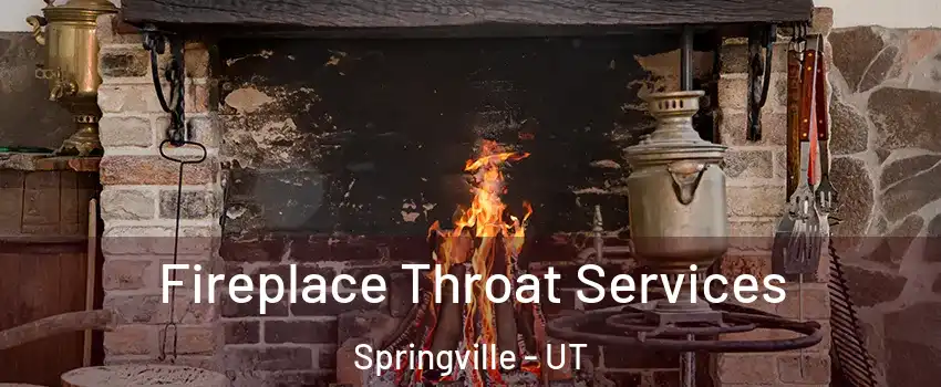  Fireplace Throat Services Springville - UT