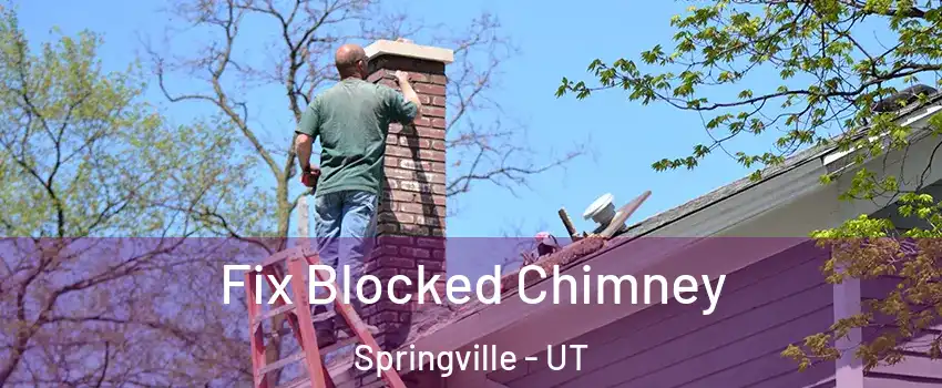  Fix Blocked Chimney Springville - UT
