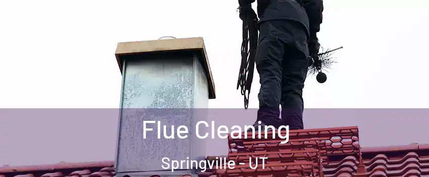  Flue Cleaning Springville - UT