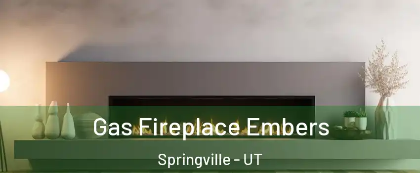  Gas Fireplace Embers Springville - UT
