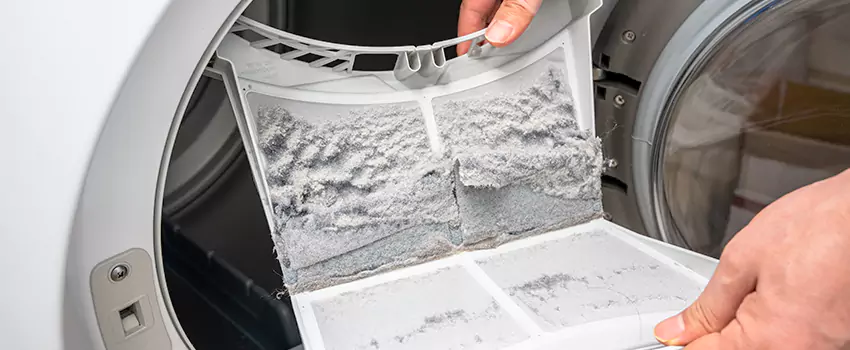 Best Dryer Lint Removal Company in Springville, Utah