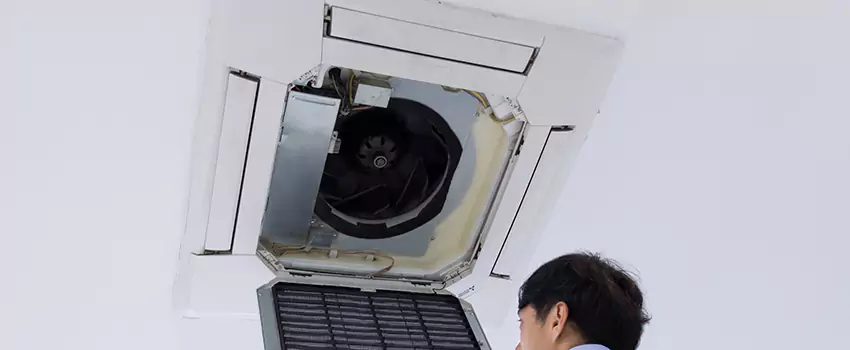 Benefits of Professional Air Duct Cleaning in Springville, Utah
