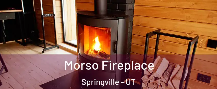  Morso Fireplace Springville - UT