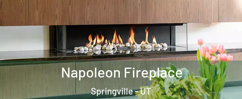  Napoleon Fireplace Springville - UT