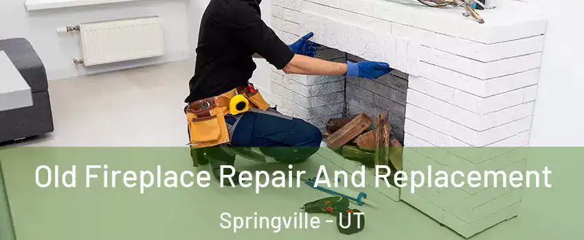  Old Fireplace Repair And Replacement Springville - UT