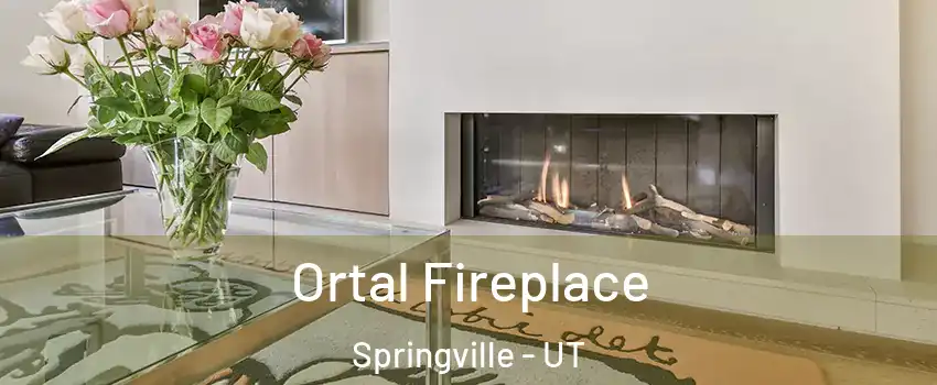 Ortal Fireplace Springville - UT