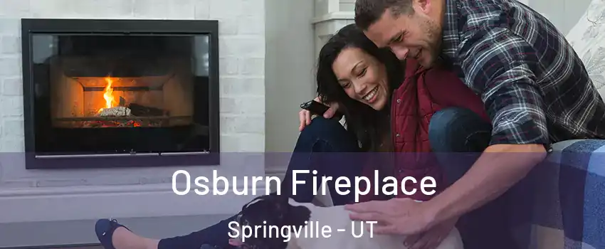  Osburn Fireplace Springville - UT