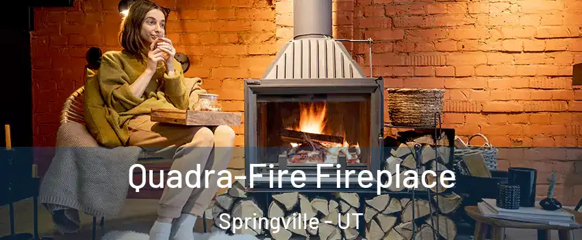 Quadra-Fire Fireplace Springville - UT
