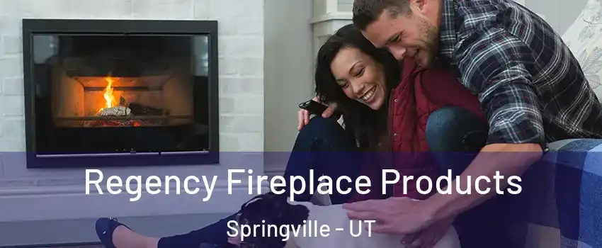  Regency Fireplace Products Springville - UT