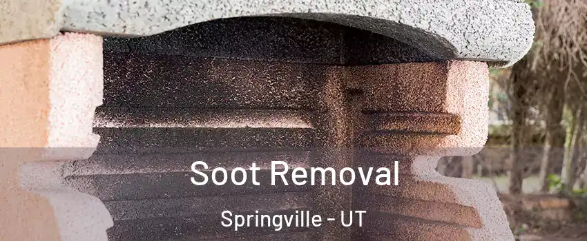  Soot Removal Springville - UT