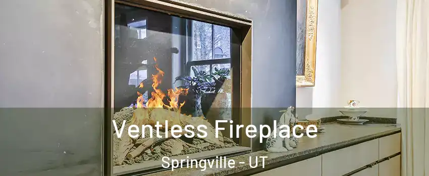  Ventless Fireplace Springville - UT